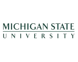 msu